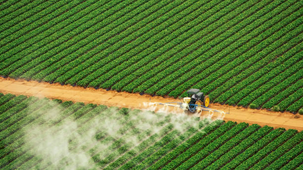 Best Pest Removal Services  in Orange, VA