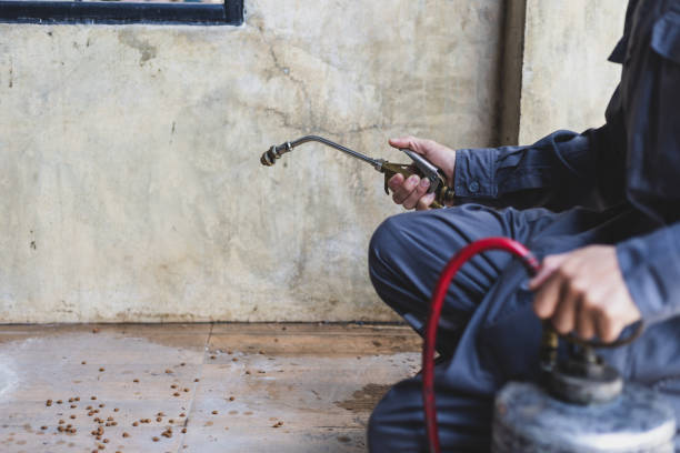 Best Exterminator Services  in Orange, VA